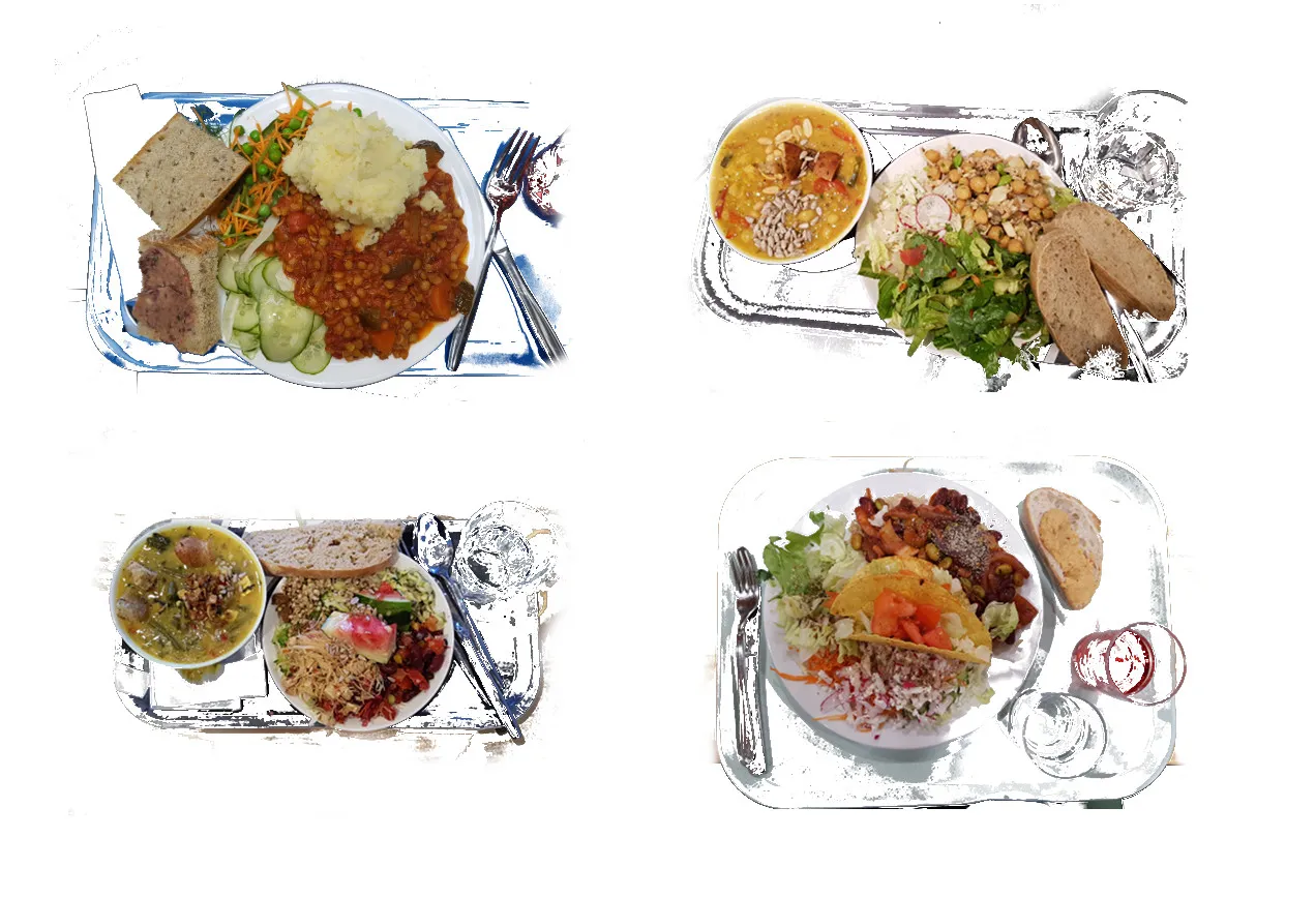 meal-composition.jpg