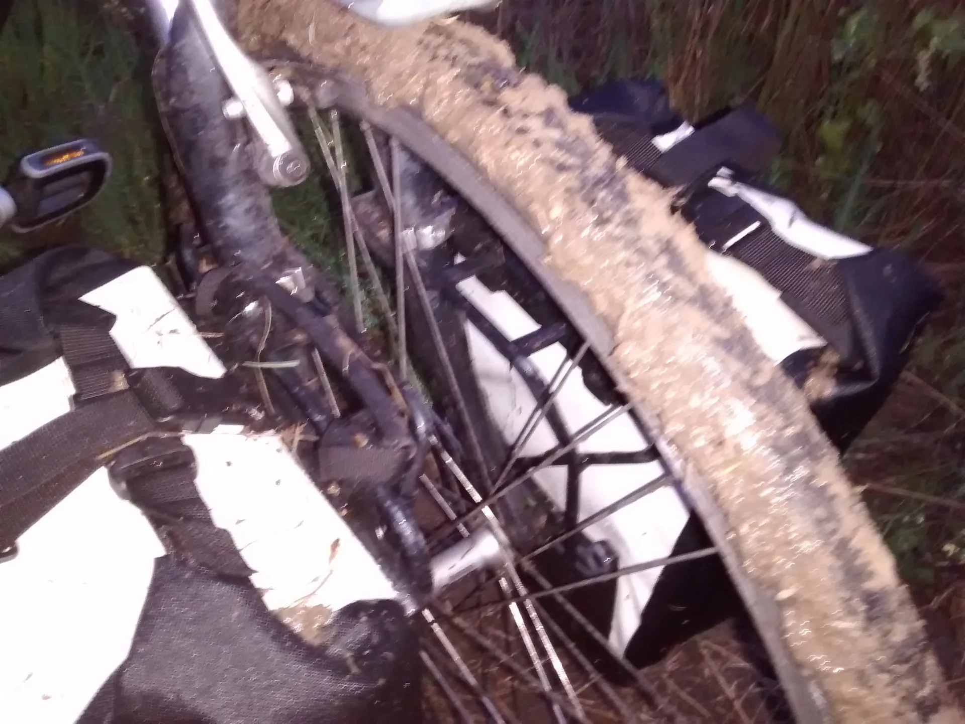 mud.jpg