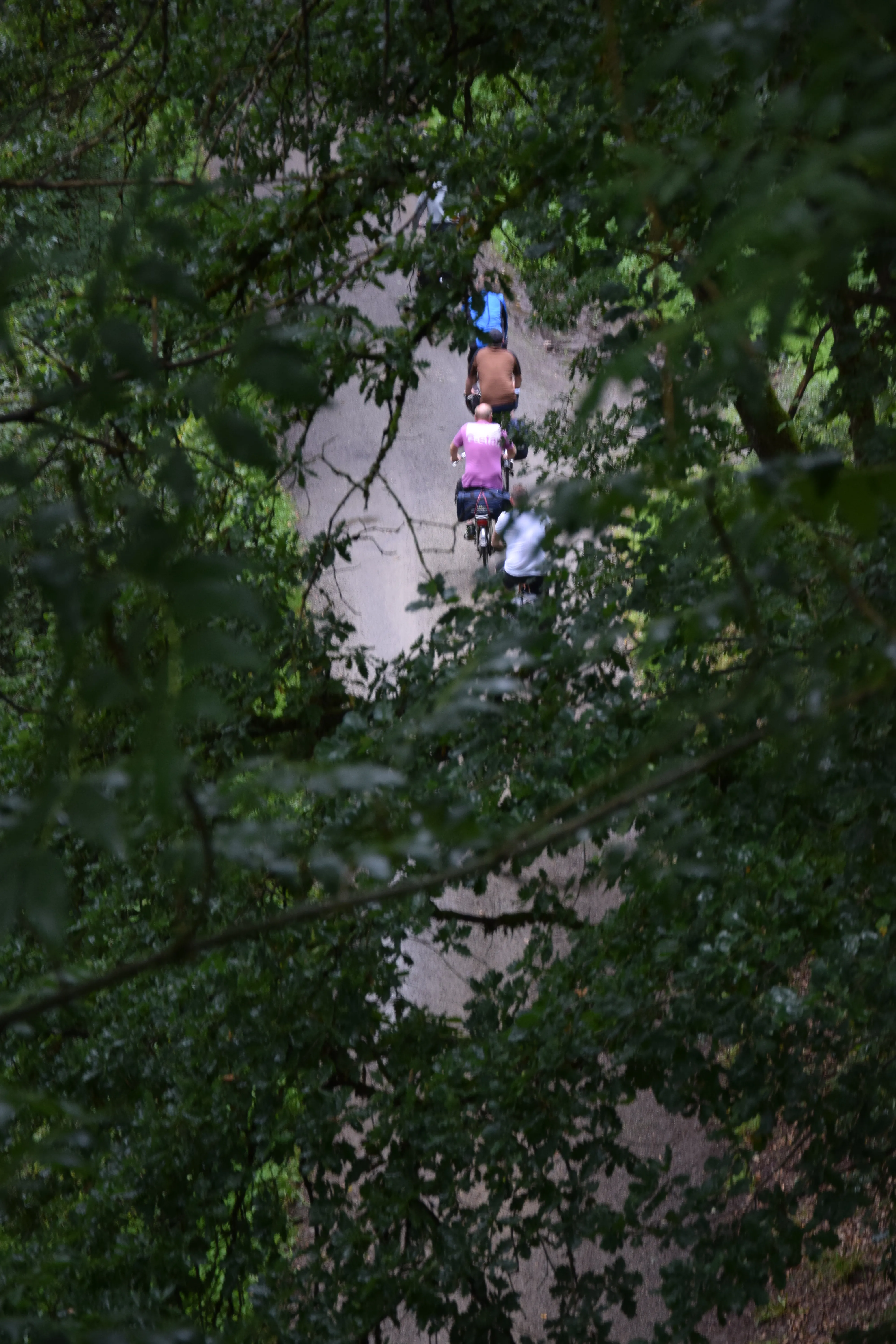 people between trees